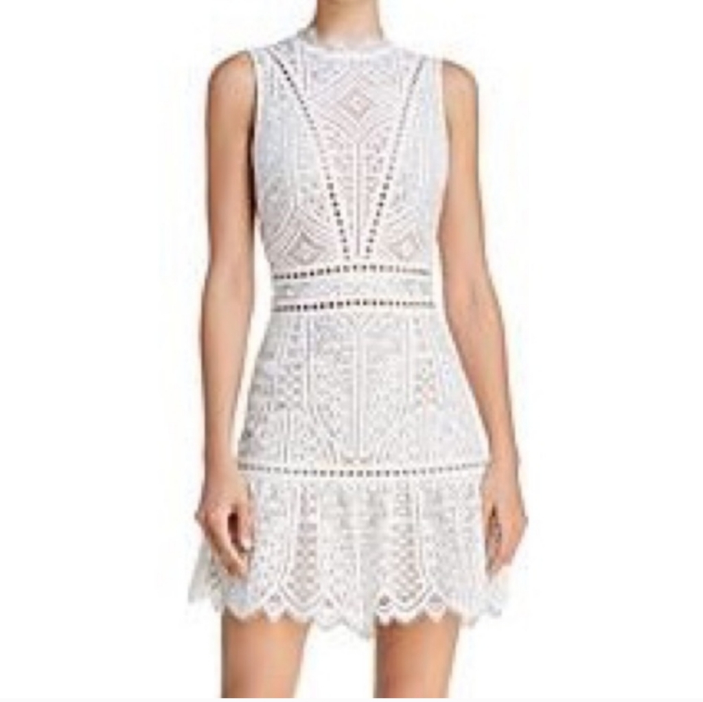 Saylor Rosemary Lace Eyelet Ruffle Open Back Dress